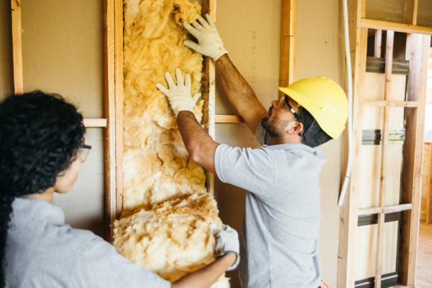 Professional Insulation in Riverdale, UT